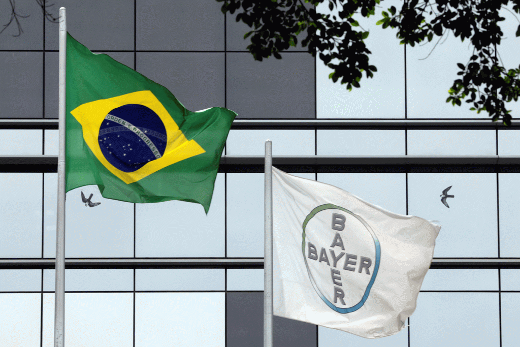 Com home office e short friday, veja como é começar a carreira na Bayer