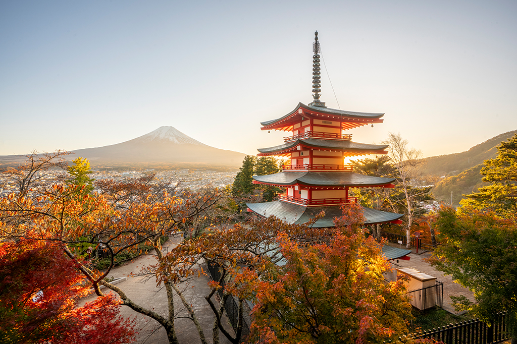 Ikigai: o conceito japonês que pode ajudar a encontrar seu propósito