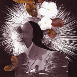 Colagem feita com recortes de um homem usando terno, folhas secas, flores brancas e um escritório com papéis empilhados.